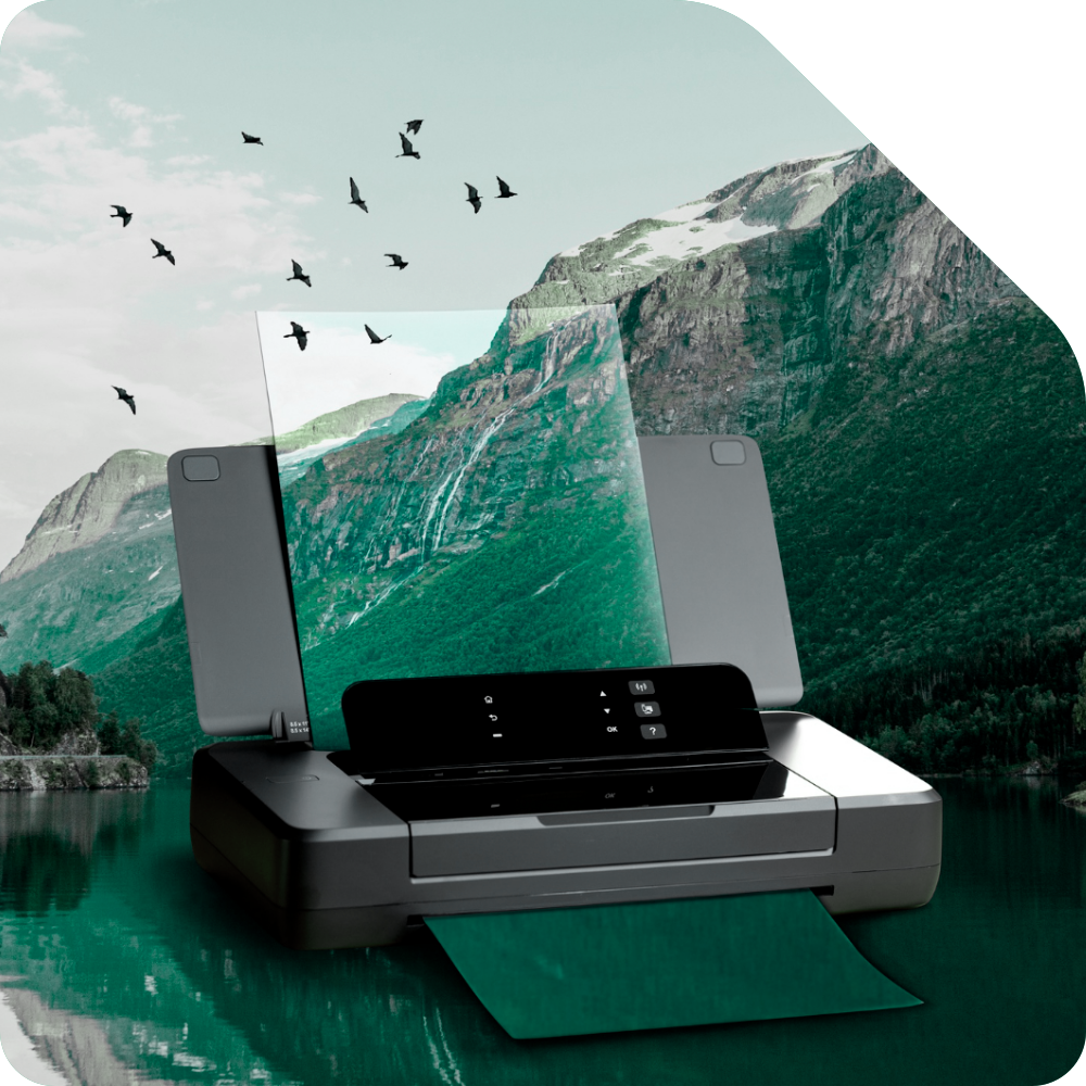 Steady Printers — Professional Printing